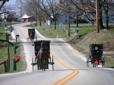 Amish Buggies in Geauga County, Northeast Ohio
